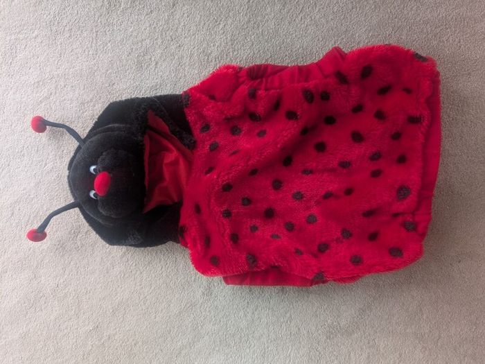 Ladybird Costume