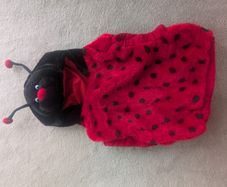 Ladybird Costume