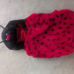 Ladybird Costume
