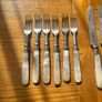 Antique Pearl Handled Dessert Set Image 2