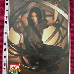 Nine Inch Nails Poster
