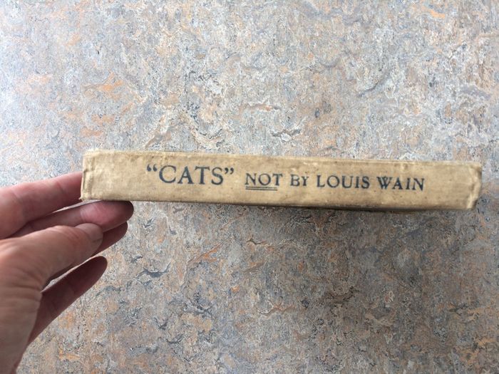 ' Cats ' Not