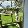 Catio for sale dromahair Leitrim Image 8