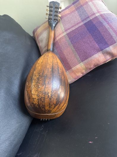 mandolin