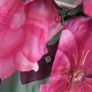 GALLERY green and pink floral blouse Sz 10UK Image 3