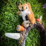 Fantasy Antler Squirrel Headband Costume Cosplay Larp Acorns Dreadwrap Extension Mystical Elf Forest Fairy Image 5