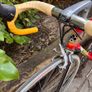 Colnago Master Piu Image 3