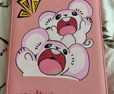Pokemon binder