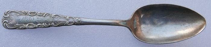 Vintage silver-plated  1847 Rogers Bros in Vintage Case