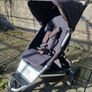 Buggy Image 2