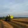Claas dominator Image 3