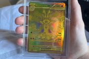 Ace 10 Lucario Ex Hyper Rare