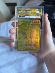 Ace 10 Lucario Ex Hyper Rare