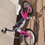 LittleBig Convertible bike - balance to pedal Image 2