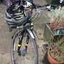 ladies bike Image 3