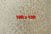 carpet 10ft x 13ft