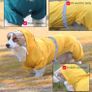 Small Dog Raincoat Waterproof Jacket with Hood & Collar Hole Transparent Brim Image 2