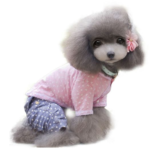 NEW cute dog/cat tops