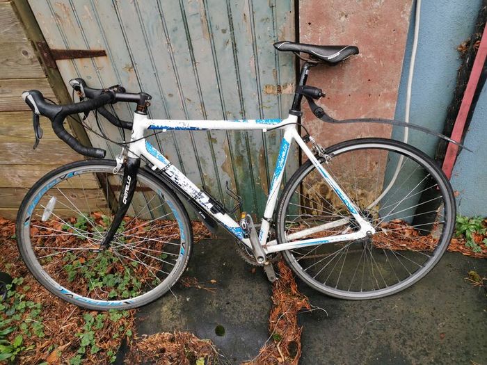 castello veyron men's racer bike