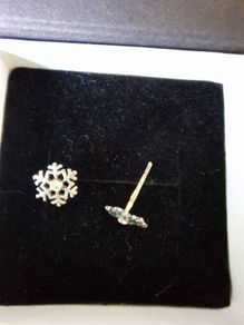 new silver earrings