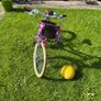 Girls bicycle Image 4
