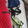 dog jackets and harnesses Image 4