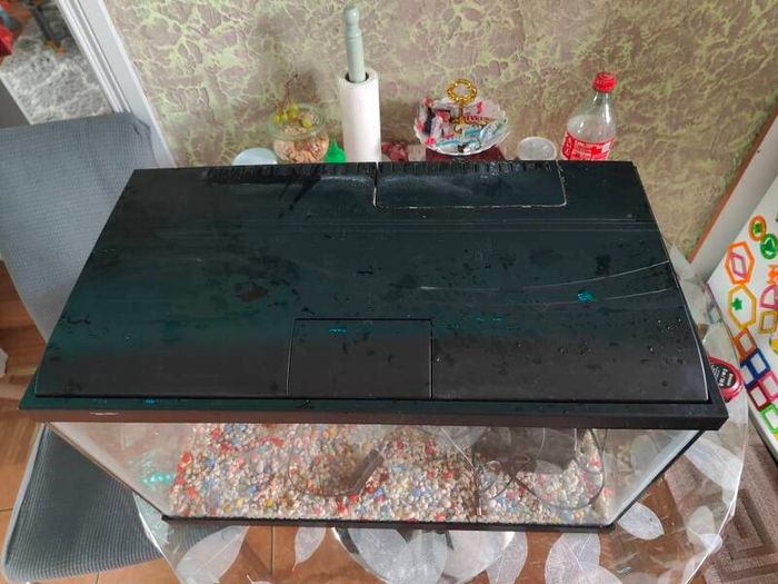 60L aquarium wiht cover, light, stones, plant and filter