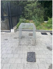 dog crate