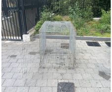 dog crate