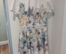 ted baker dress