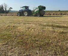 Hay