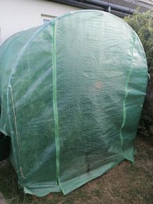 Greenhouse