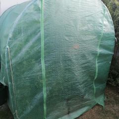 Greenhouse