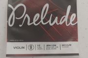 Violin G String (half size)
