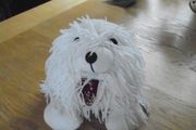 White Rag Dog for Sale