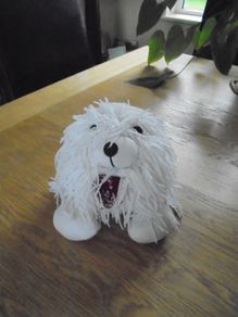 White Rag Dog for Sale
