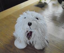 White Rag Dog for Sale