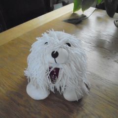 White Rag Dog for Sale
