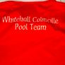 Whitehall-Colmcille GAA Official O'Neills Pool Team Jersey (Adult XL) FREE POST Image 4