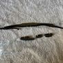 Rear wiper blade arm Image 5