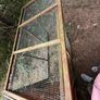 chicken coup Image 6