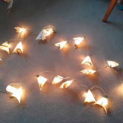 Fairy lights