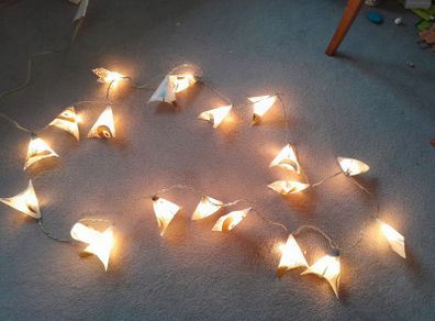 Fairy lights