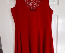 ladies skater dress