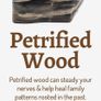 Petrified wood mini eggs Image 3