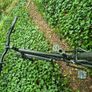 road bike Image 3