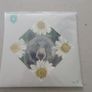 The National Vinyl Image 2