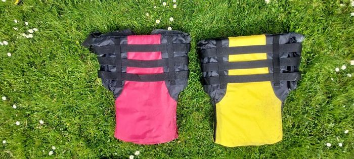 life vest + 2 paddles