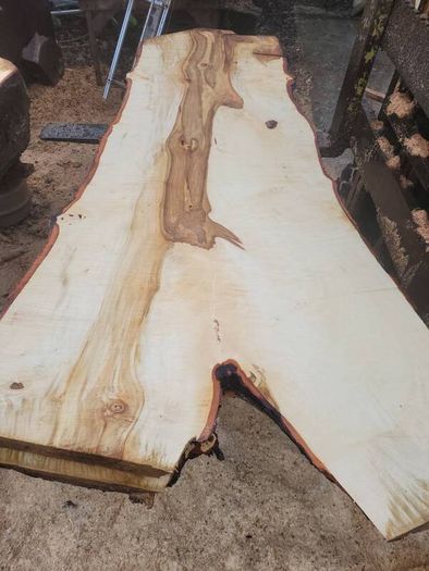 Hardwood timber
