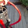 golf bag Image 3